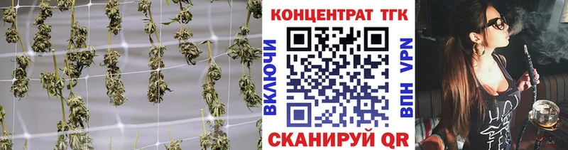 Дистиллят ТГК концентрат  MEGA зеркало  Чаплыгин  закладки 